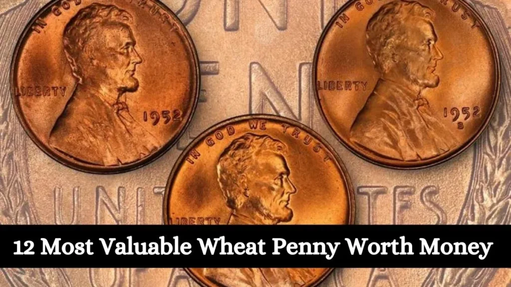 12 Most Valuable Wheat Penny Worth Money