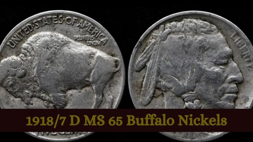 19187 D MS 65 Buffalo Nickels